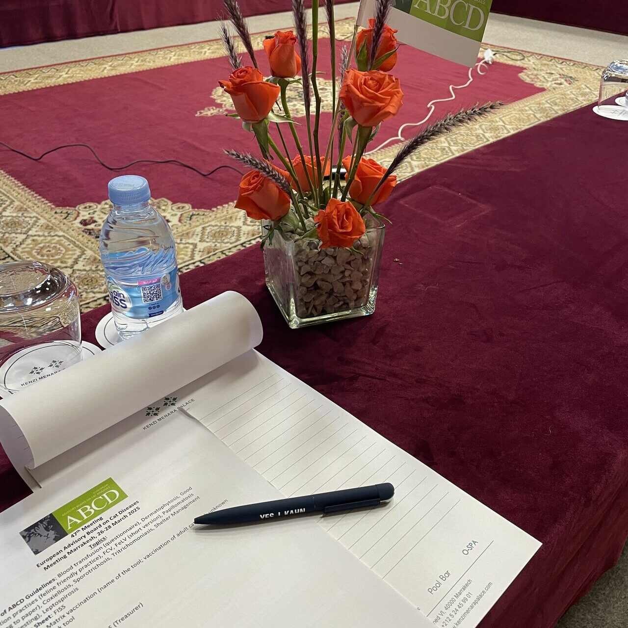 ABCD meeting in Marrakech