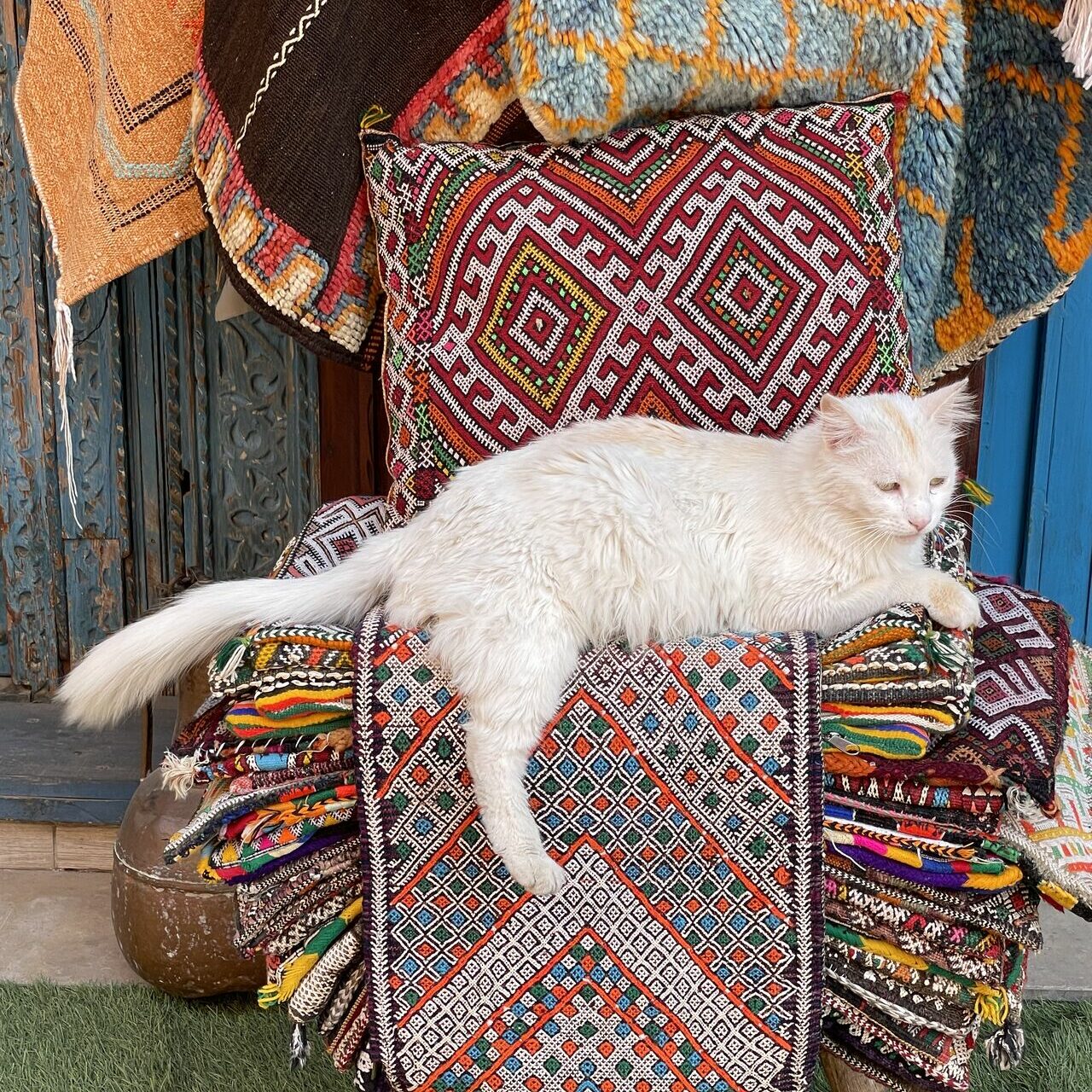 ABCD meeting in Marrakech