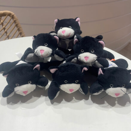 BOEHRINGER INGELHEIM symposium