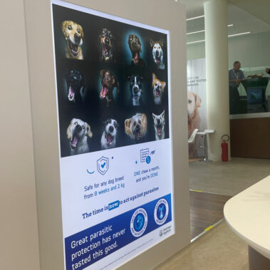 EERVC: the 7th edition