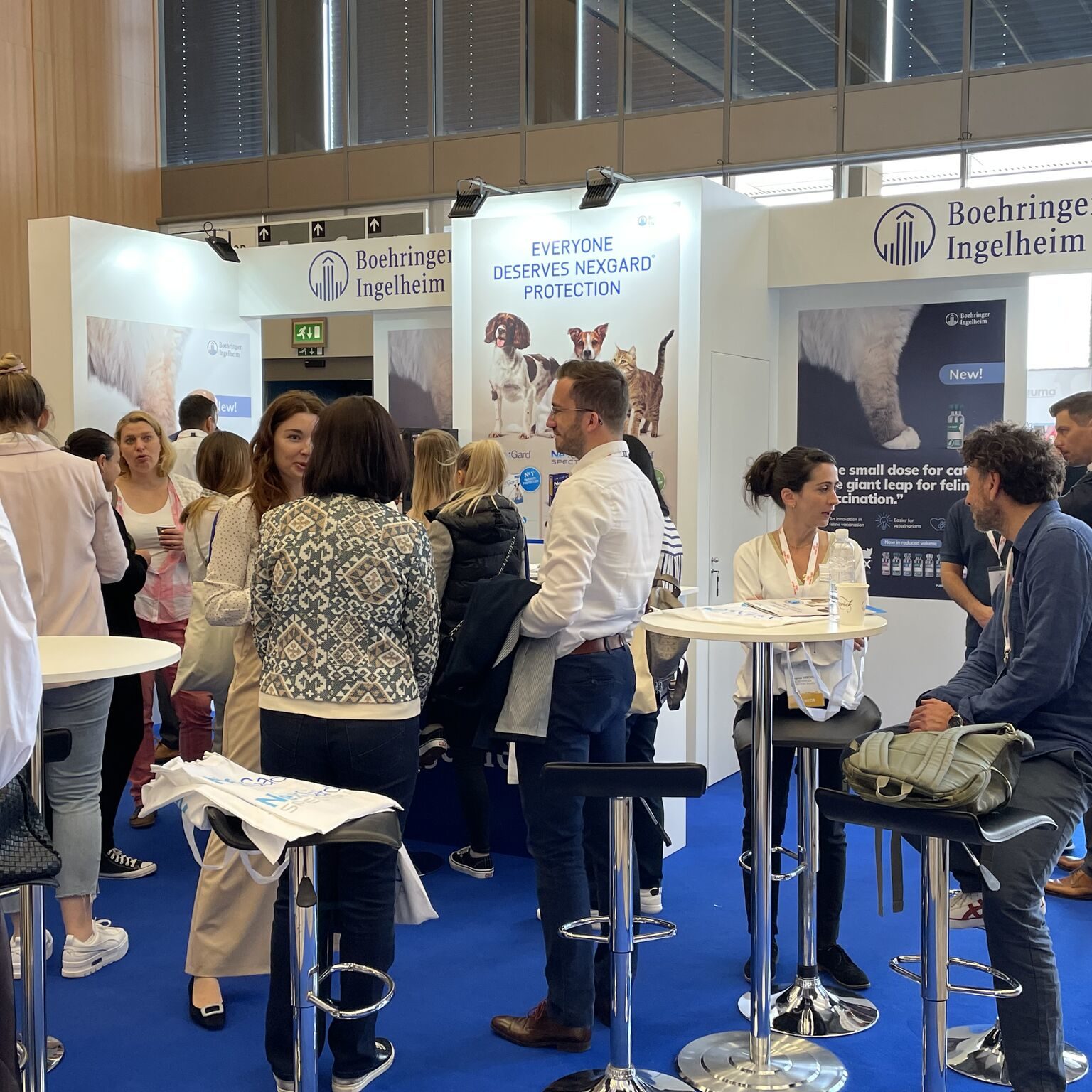 EERVC congress (Eastern European Vet Conference) the 47 May 2022 in