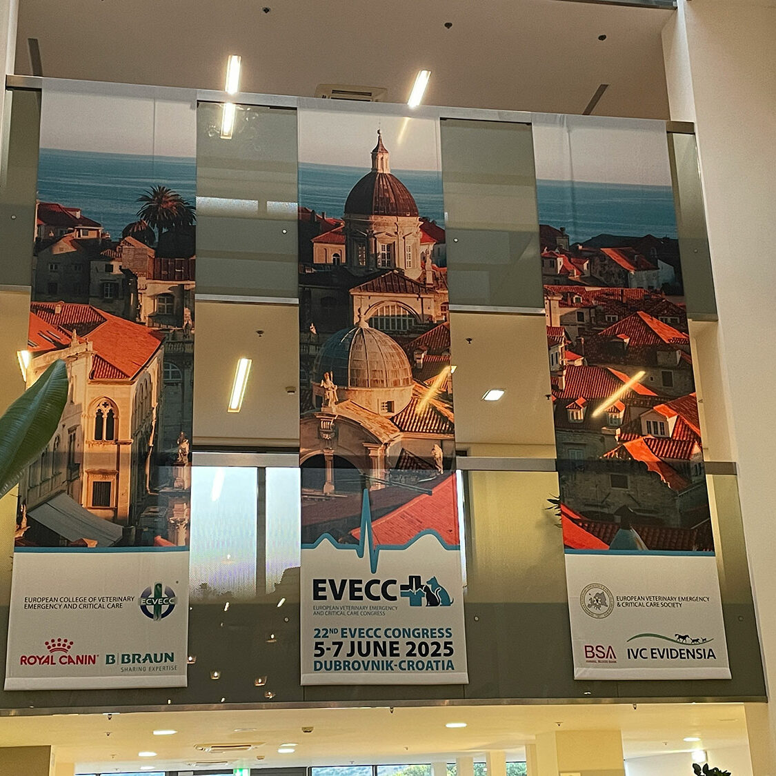 EVECC congress in Dubrovnik – June 2025