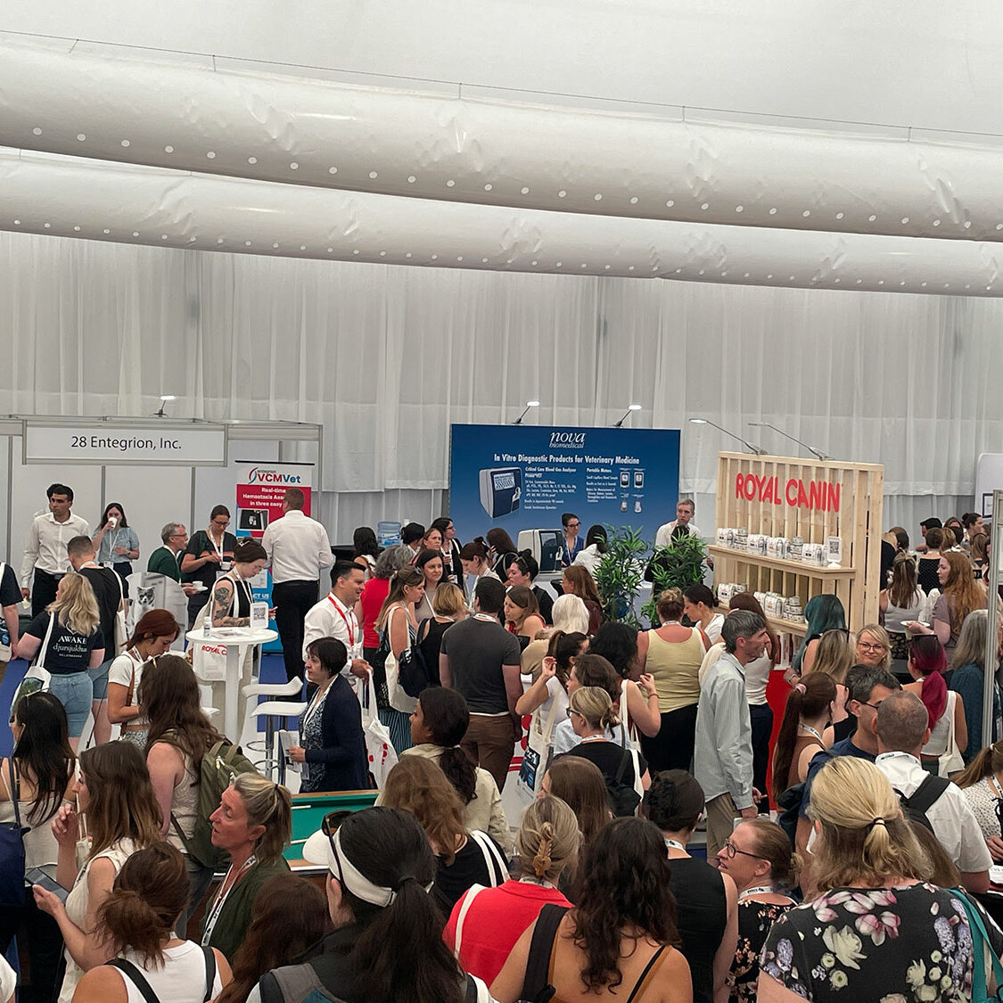 EVECC congress in Dubrovnik – June 2025