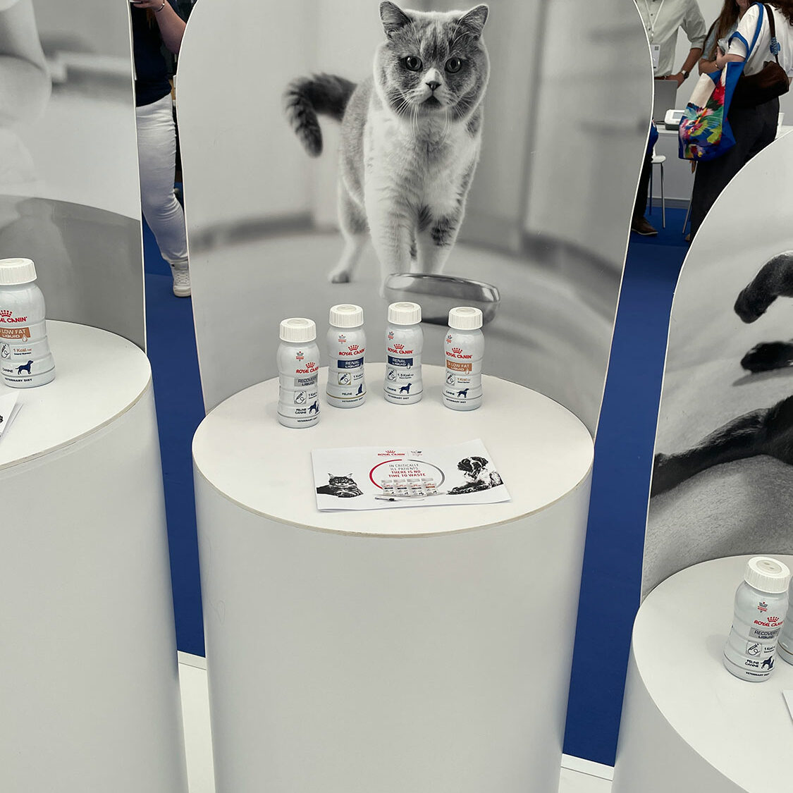 EVECC congress in Dubrovnik – June 2025