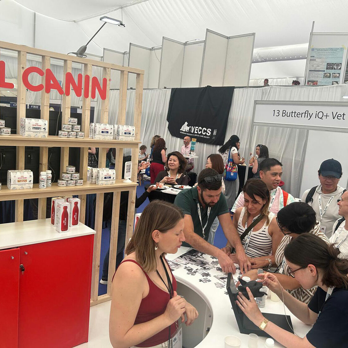 EVECC congress in Dubrovnik – June 2025