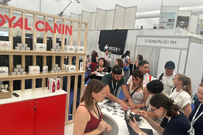 EVECC–7 EVECC congress in Dubrovnik – June 2025