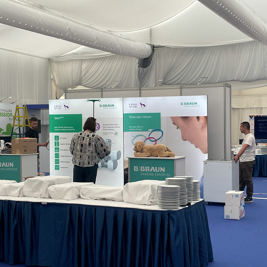 EVECC congress in Dubrovnik – June 2025