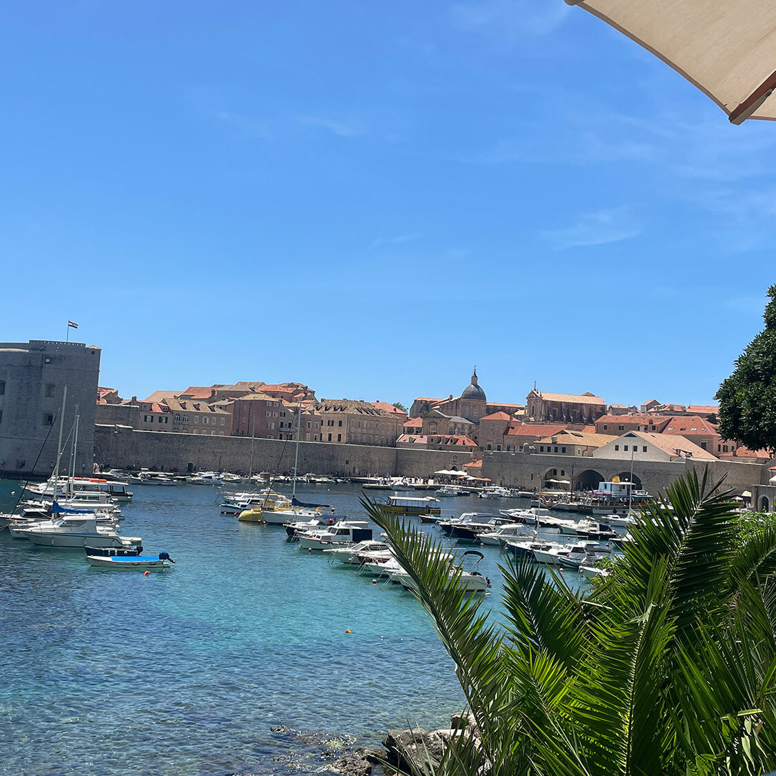 EVECC congress in Dubrovnik – June 2025