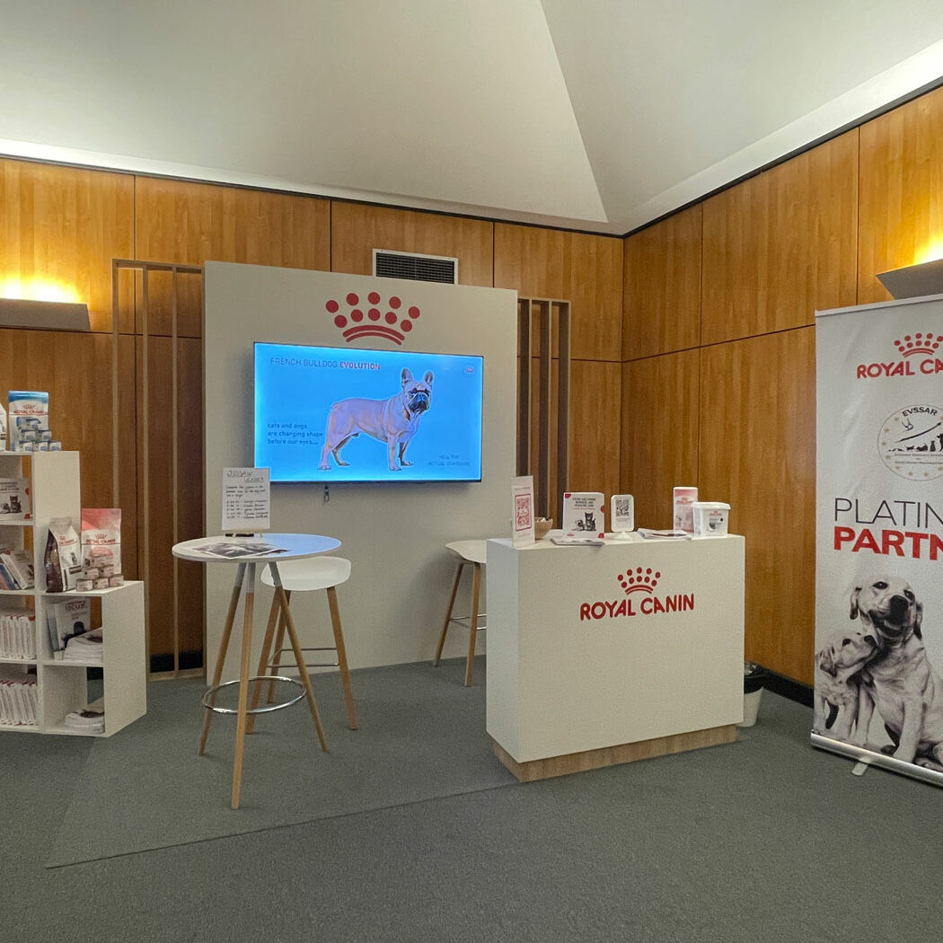 YES I KAHN organizer of the EVSSAR congress in Porto