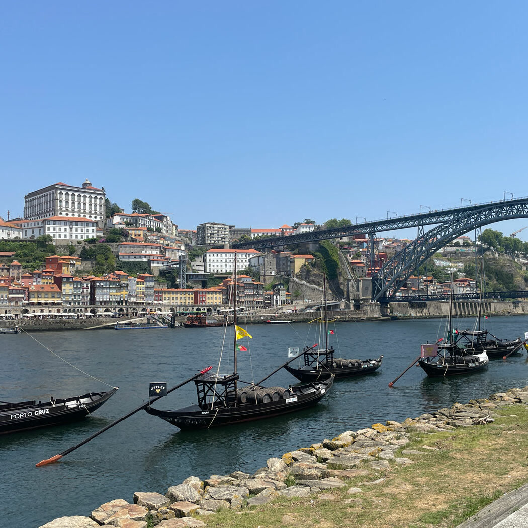 YES I KAHN organizer of the EVSSAR congress in Porto