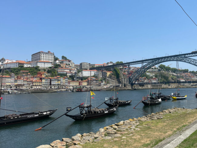 YES I KAHN organizer of the EVSSAR congress in Porto