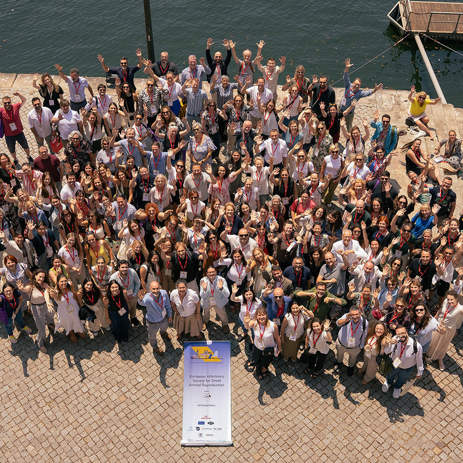 YES I KAHN organizer of the EVSSAR congress in Porto