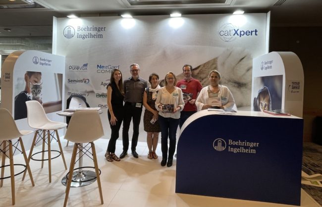 European Feline Congress ISFM in Rhodos