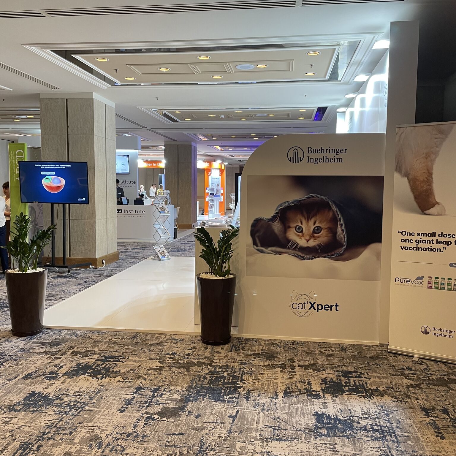 European Feline Congress ISFM in Rhodos