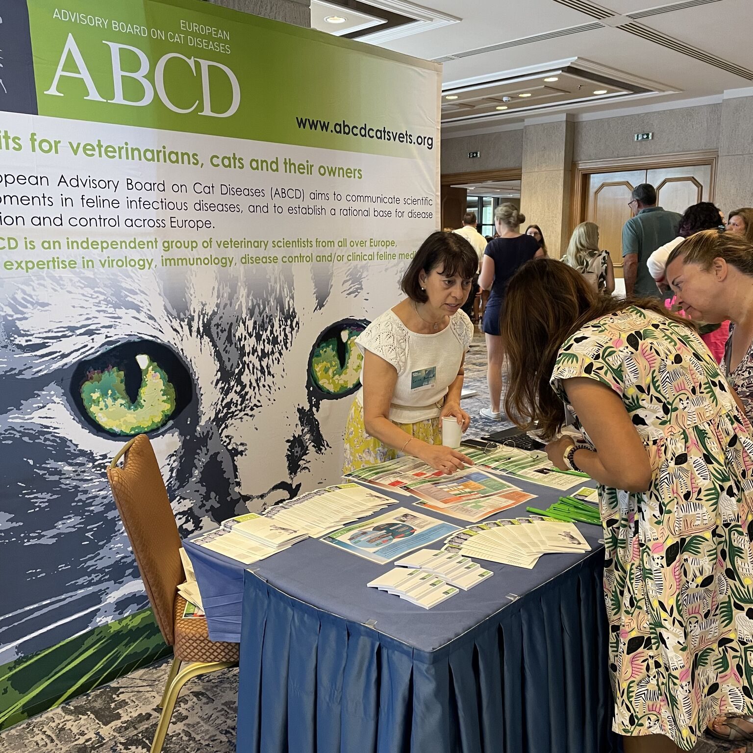 European Feline Congress ISFM in Rhodos