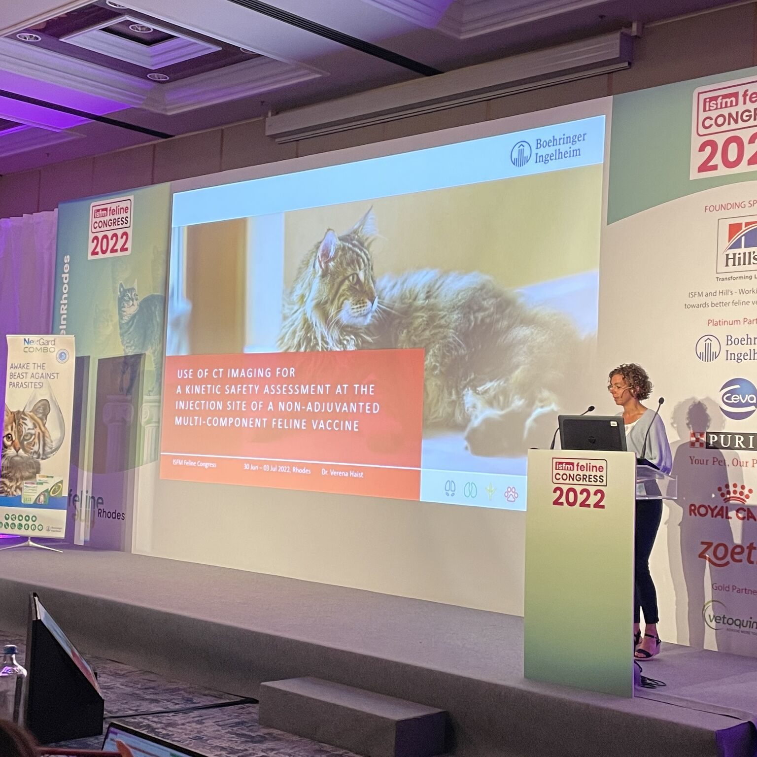 European Feline Congress ISFM in Rhodos