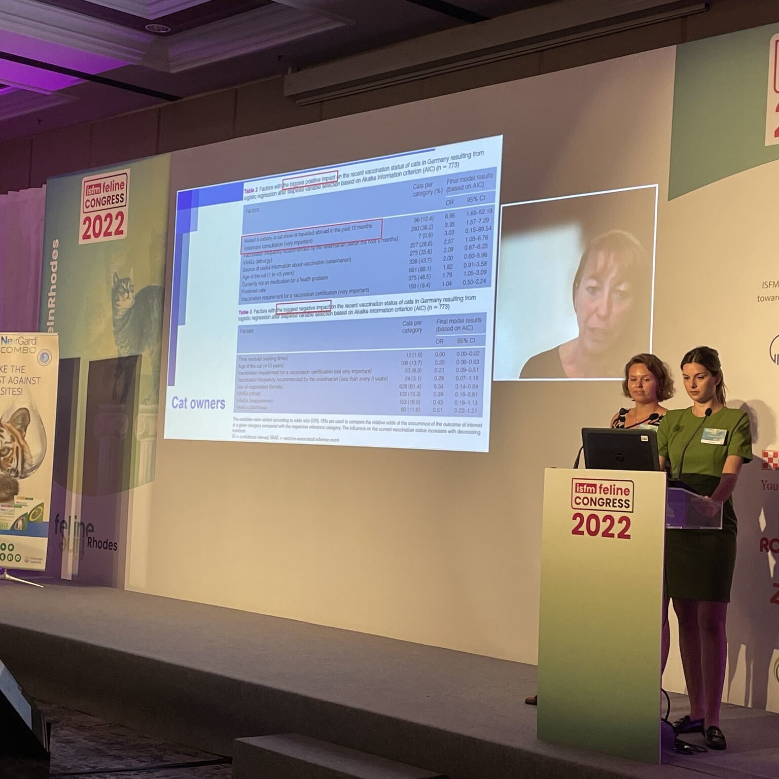 European Feline Congress ISFM in Rhodos