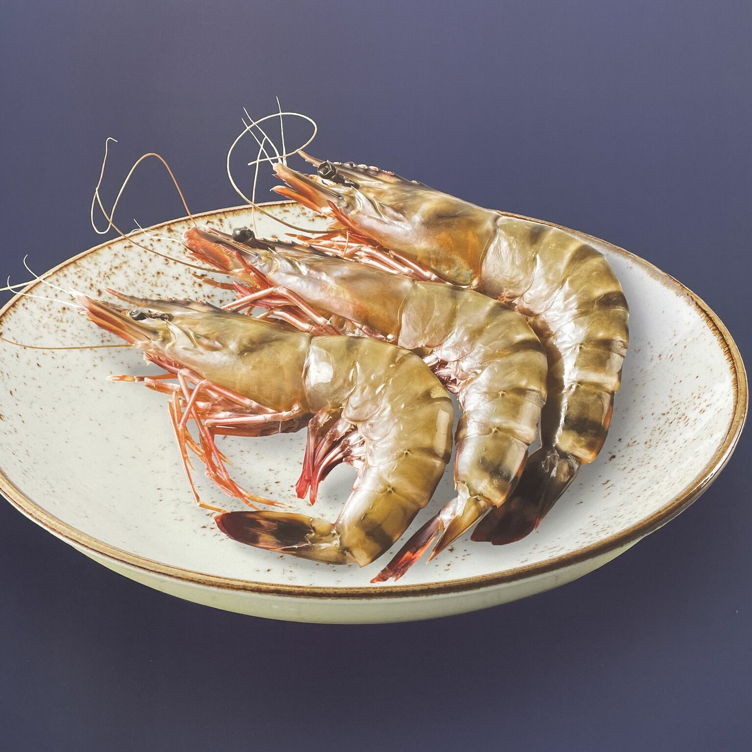 Global Seafood Fair – Barcelona