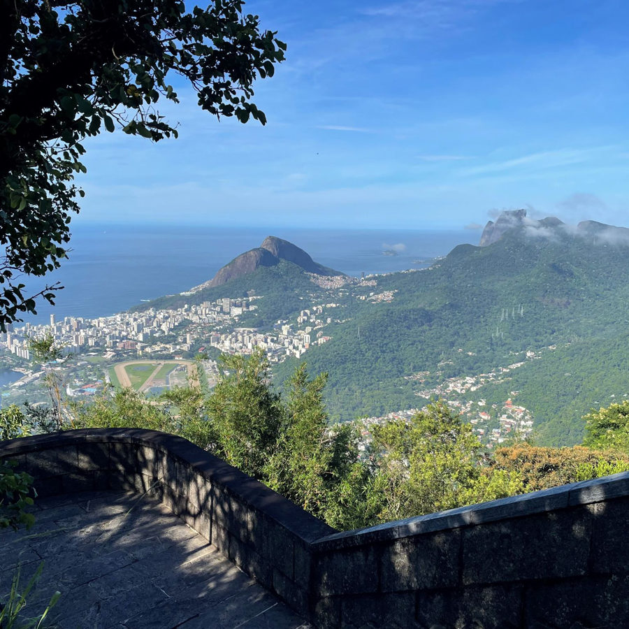 Organization of an Advisory Board Meeting Brazil