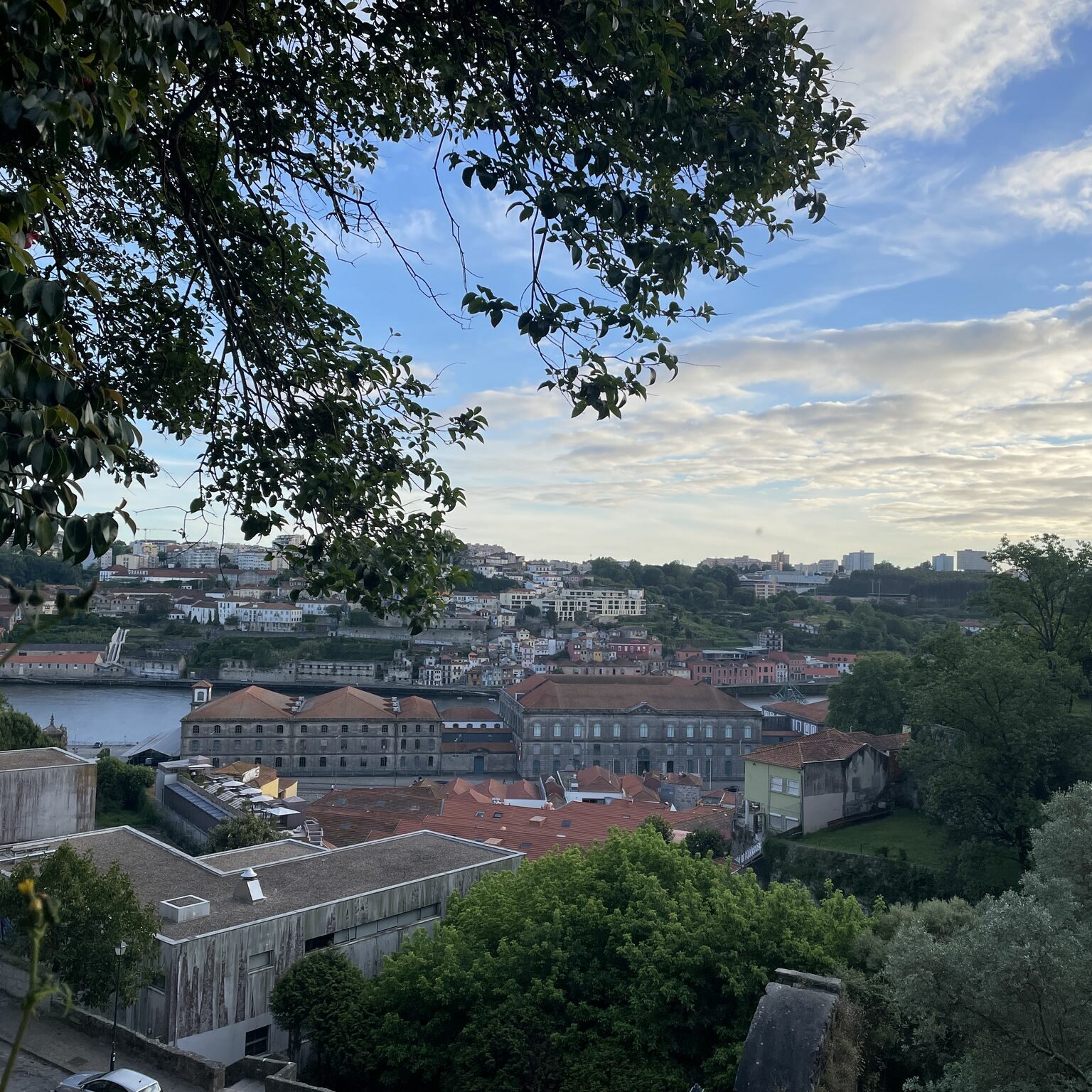 VOAB & ESVONC congress in Porto