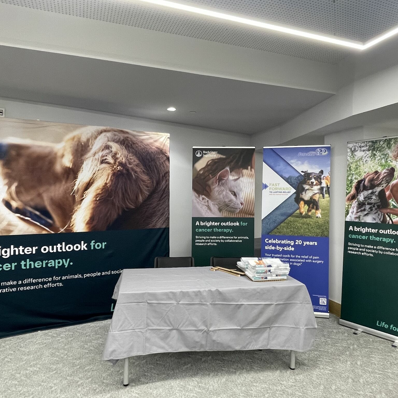 VOAB & ESVONC congress in Porto