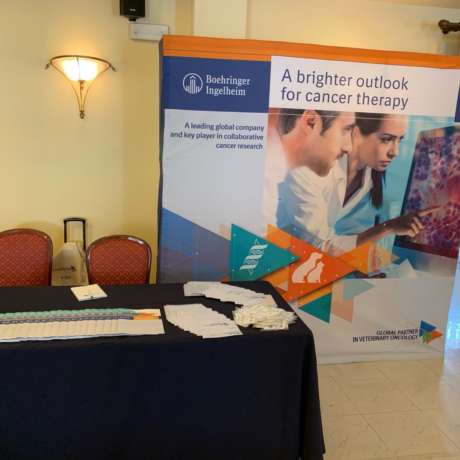 Vet Oncology Advisory Board in Syracuse