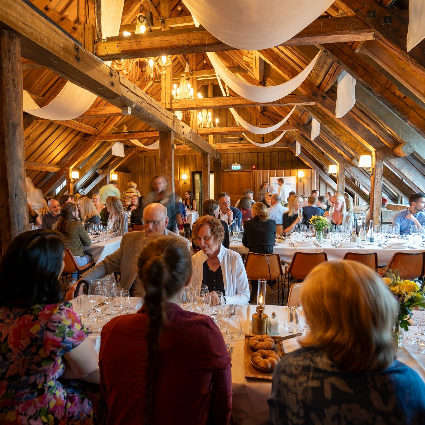 Congrès de l’EVECC : organisation de 3 dîners pour MARS – AniCura – Linnaeus