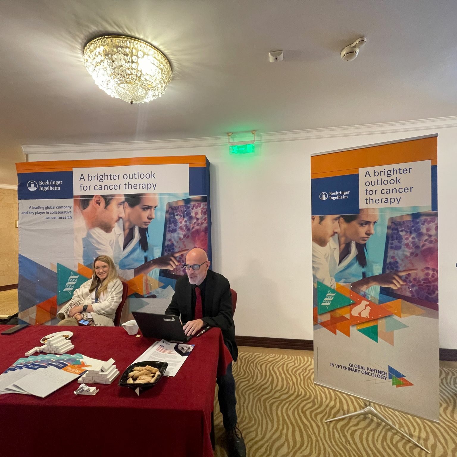 Organisation de la réunion du conseil d’administration en oncologie de Boehringer Ingelheim AH