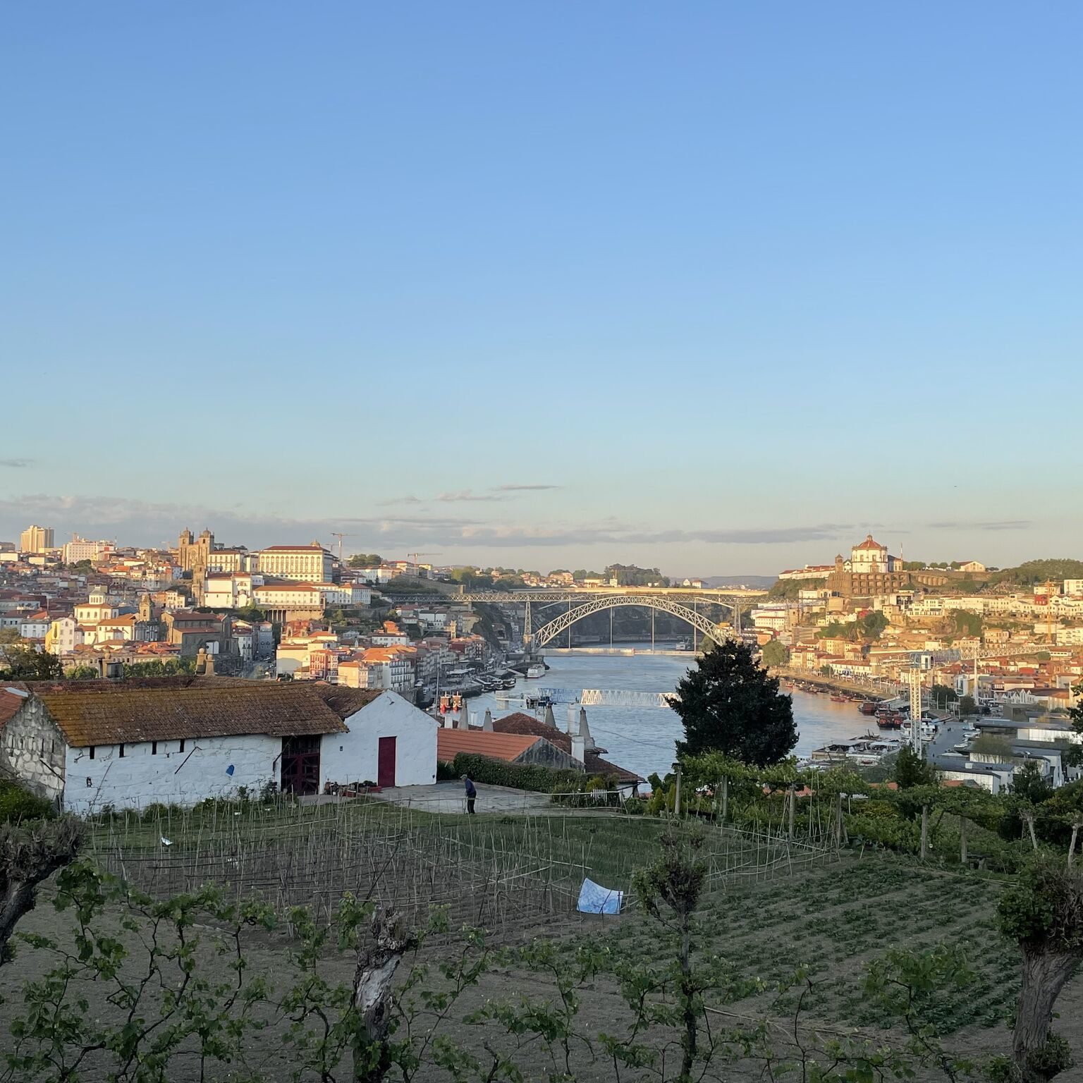 Boehringer Ingelheim "Let's Speak Poultry" forum in Porto 26-29 April 2022