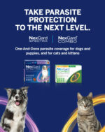 take parasite protection to the next level